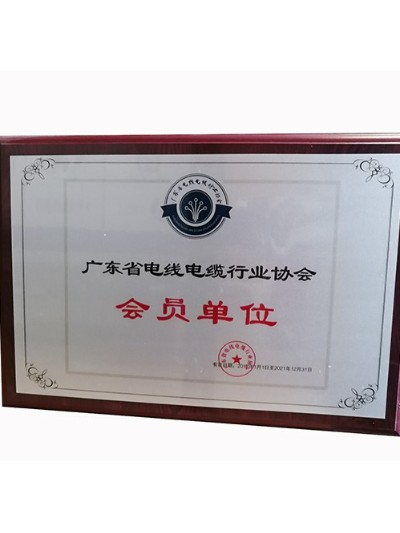 918博天堂科学-广东省电线电缆行业协会会员